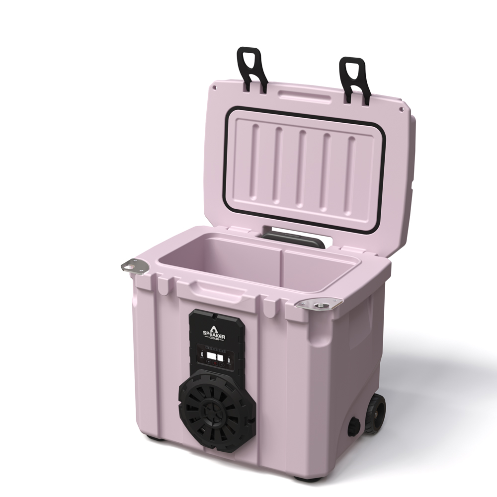 Borsa Frigo Portatile da 35L c - Wine & Beer Packages recensione e prezzo