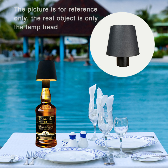 Coperture per Lampade a Bottig - Wine & Beer Packages recensione e prezzo