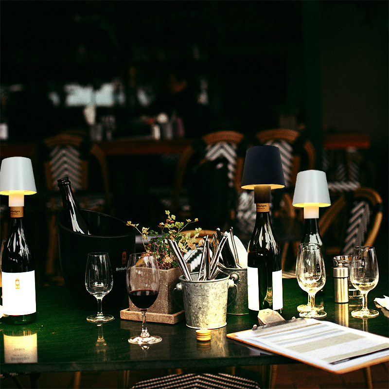 Coperture per Lampade a Bottig - Wine & Beer Packages recensione e prezzo